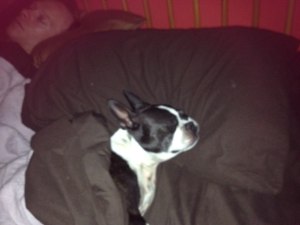 Lucy pillow