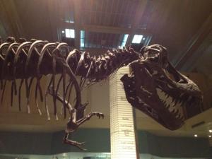 T Rex